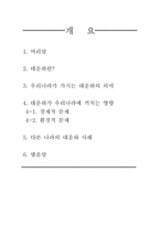 대운하에 관한 레포트-1