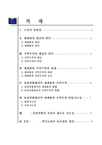 세계화와 지역주의 양립가능성 -유럽연합을 중심으로-2