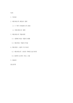 매혹의 화가 베르메르-2