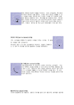 수염과 그루밍에 관하여-11