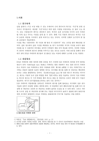 DSLR시장의 성공요인과 문제점분석-3