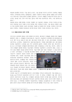 DSLR시장의 성공요인과 문제점분석-8