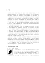 아로마 사업의 수익성 분석과 사업 모델구상-3