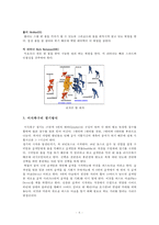 한국의 미식축구에 대해-6