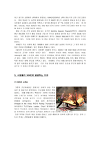 미국인들은 왜 WWE에 열광 하는가-6