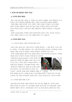 허가방 건축의 부정적 영향과 그 이면의 가능성에 대한 고찰-8