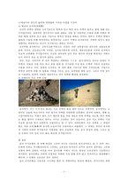 중국의 주거문화-8