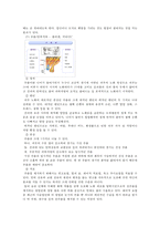 먹는 스킨케어 레포트-11
