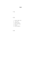 [중국대중문화] 중국의 춘절과 불꽃놀이-2