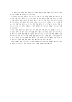 [중국대중문화] 중국의 춘절과 불꽃놀이-9