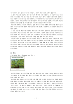 비틀즈 Beatles와 리메이크-11