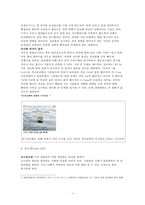 환경보호 레포트-4