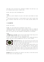 중국의 전통명절-3