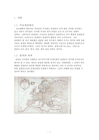 동양인에 대한 유럽인의 시각 분석-3
