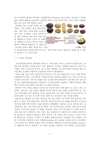 커피 맛있게 먹는법-6
