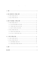 롯데월드의 마케팅 전략 분석 및 새로운 마케팅 전략 제시-2