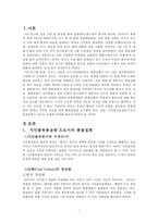 [시민윤리] 촛불집회에 대한 윤리적 고찰-2