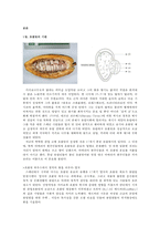 달콤한 초콜릿의 비밀-4