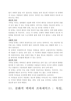 보이지 않는 차원-11