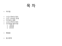 스킨 스쿠버 레포트-2