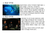 스킨 스쿠버 레포트-7