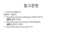 스킨 스쿠버 레포트-13