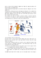 우리나라에서의 미식축구의 입지와 기본적인 이해-6