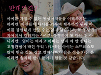 동성애 부부 레포트-13