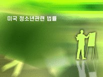 미국 청소년 정책-2
