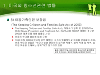 미국 청소년 정책-8
