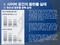 인터넷음란물(사이버음란물)-7