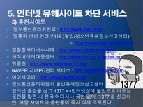 인터넷음란물(사이버음란물)-12