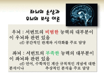 서번트 신드롬(savant syndrome)-13