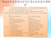 일본의 청소년정책-5