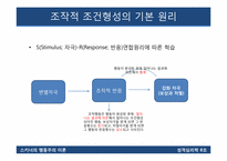 스키너의 행동주의 이론-11