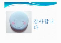 핀란드의 청소년정책-12