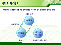 바이오매스 레포트-2