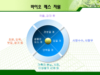 바이오매스 레포트-4