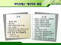 바이오매스 레포트-5