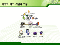 바이오매스 레포트-6