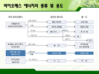 바이오매스 레포트-7