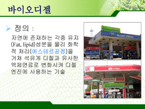 바이오매스 레포트-19