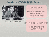 Albert Bandura 반듀라 사회인지적 성격이론-4