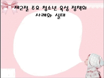 제2절 주요 청소년 육성 정책의 사례와 실태-1