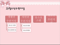 제2절 주요 청소년 육성 정책의 사례와 실태-6