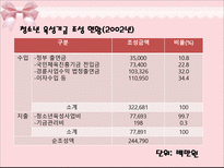 제2절 주요 청소년 육성 정책의 사례와 실태-17