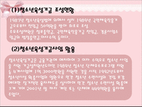 제2절 주요 청소년 육성 정책의 사례와 실태-18