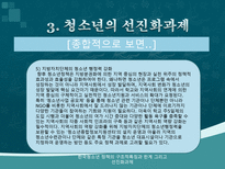 한국청소년 정책의 구조적특징과 한계 그리고 선진화과제-17