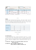 [경영정보시스템] 대한항공 MIS 분석-7