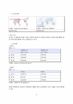 [국제경영] TOYOTA 도요타 기업분석과 전략-6